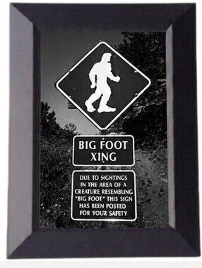 Sasquatch sign Edgy Alternative Framed Photo enter at your own risk funny aliens